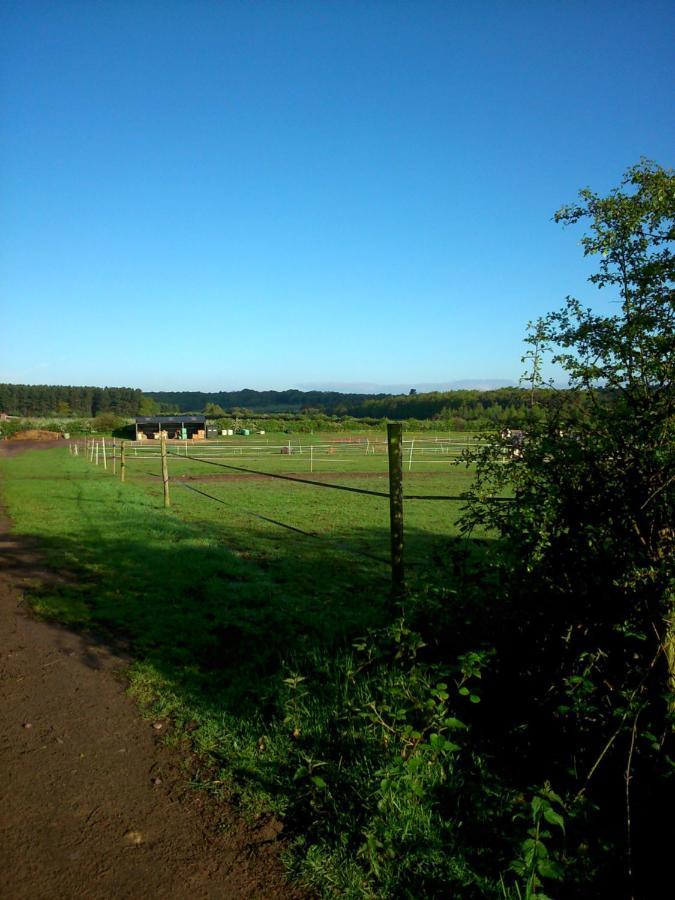 Clumber Lane End Farm Bed & Breakfast Уърксоп Екстериор снимка