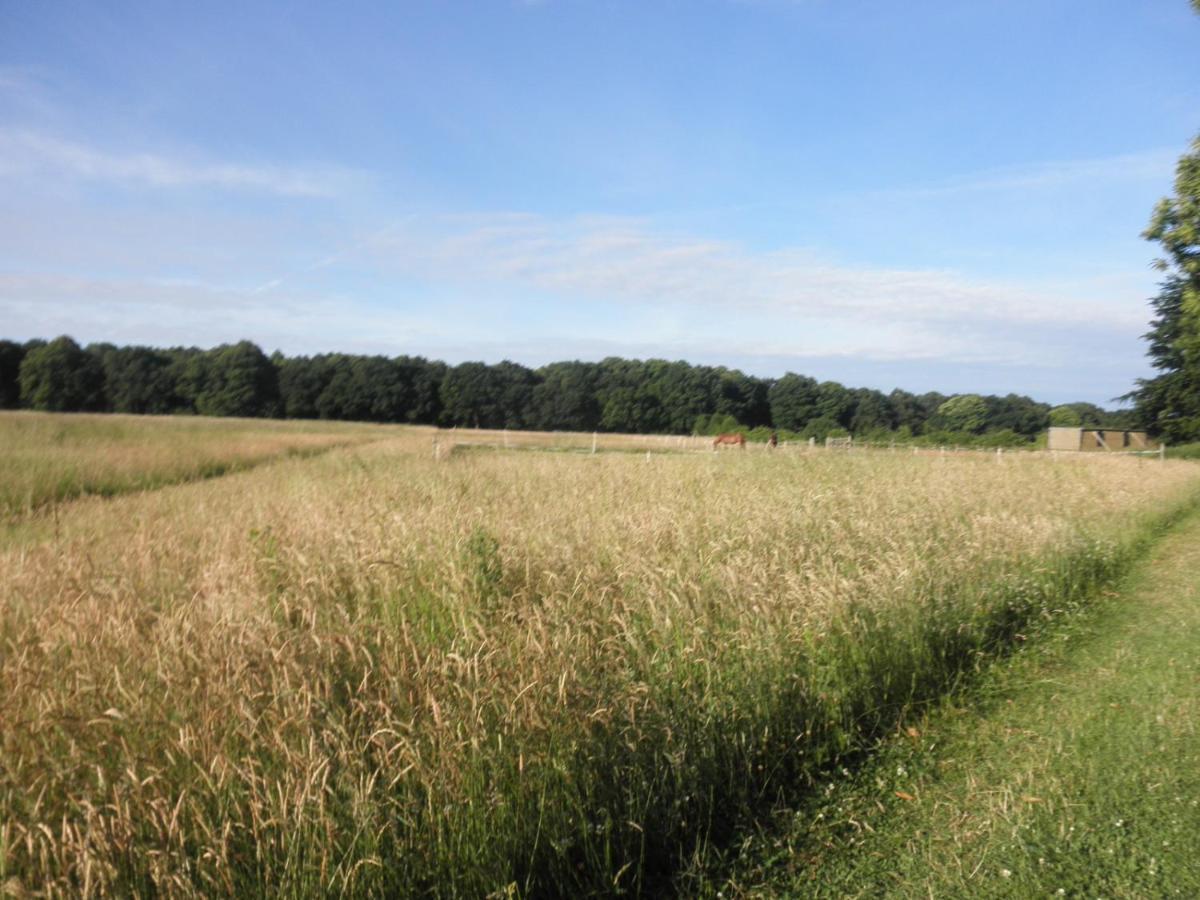 Clumber Lane End Farm Bed & Breakfast Уърксоп Екстериор снимка