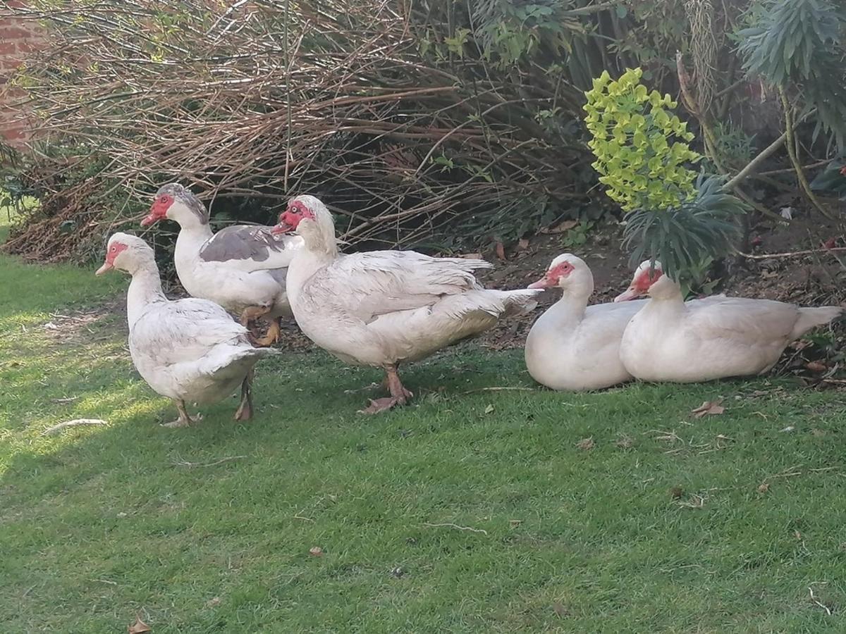 Clumber Lane End Farm Bed & Breakfast Уърксоп Екстериор снимка