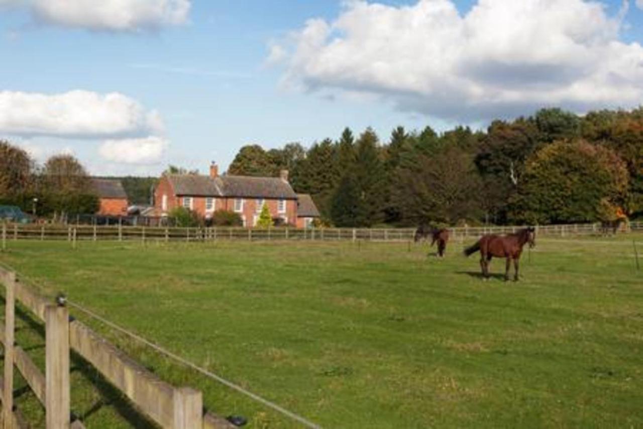 Clumber Lane End Farm Bed & Breakfast Уърксоп Екстериор снимка